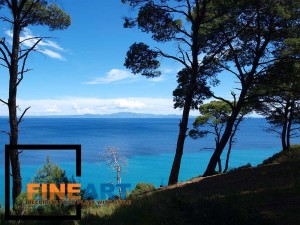 Pines Sea Kallithea